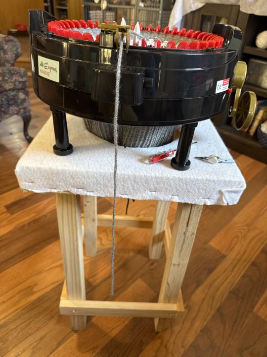 Yarn Chicken=1. DD=0 😞