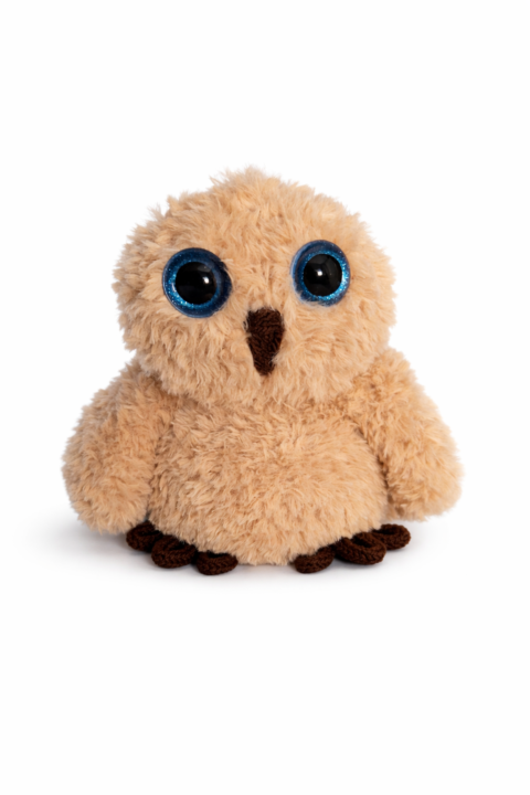 Hoot Hoot Class!