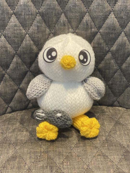 Meet Steven Seagull
