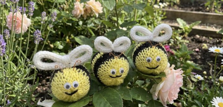 Bugs!!