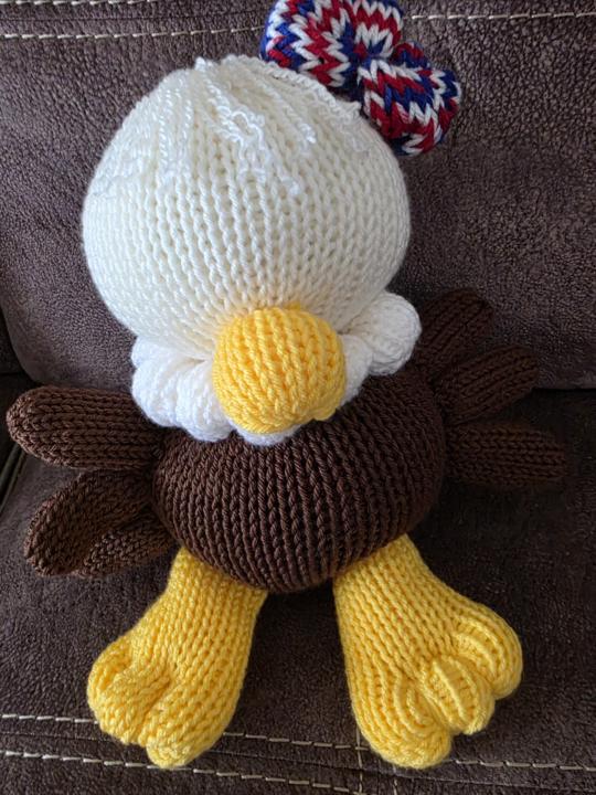The American Bald Eagle Family Progress Report