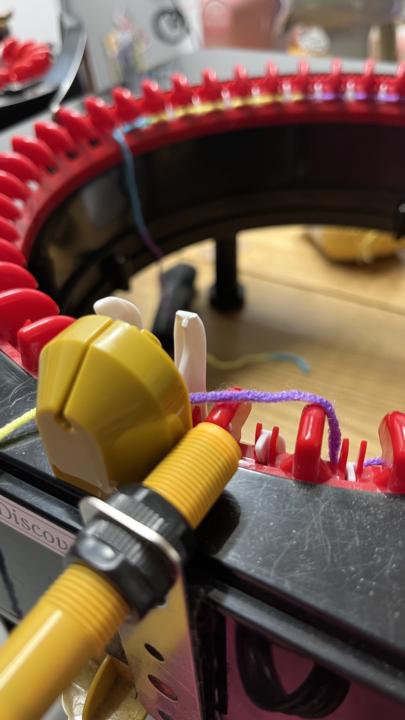 Discovery broke a tooth! 😳