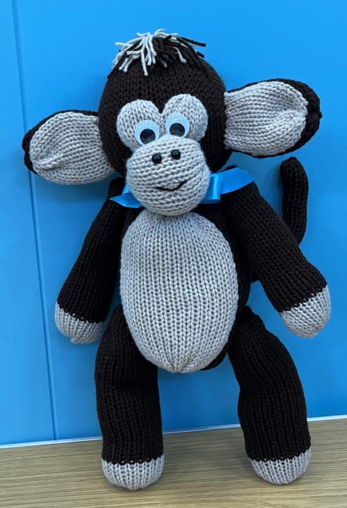 Julie’s Monkey Class Replay