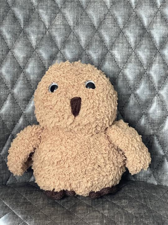 Hoot Hoot testing complete