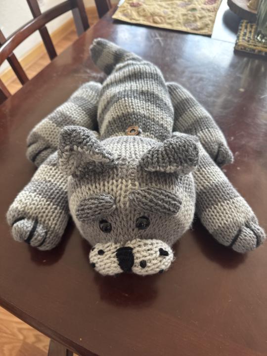 Cat pajama bag