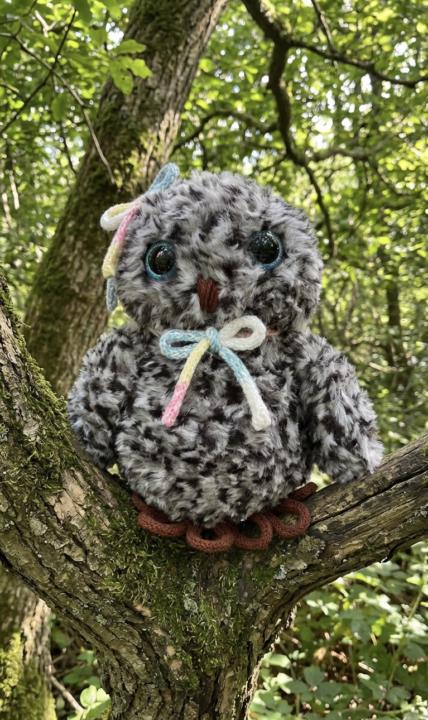 Hoot Hoot number three