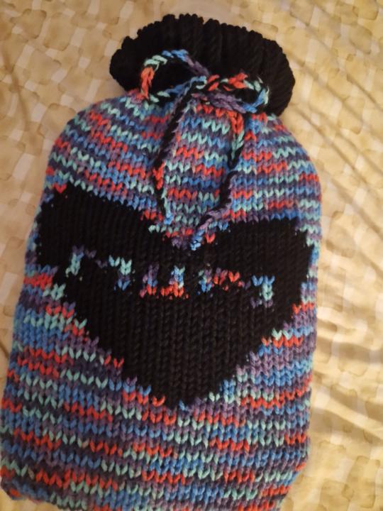 Hot waterbottle cover with color work 