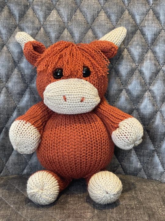 Highland Coo