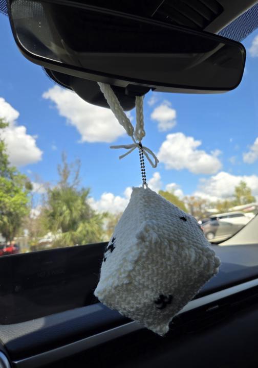 Rear view mirror dice