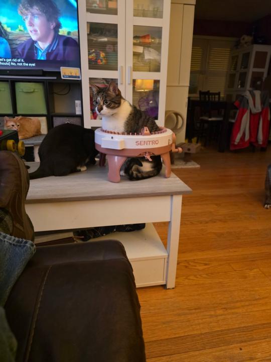 Tried out a new yarn