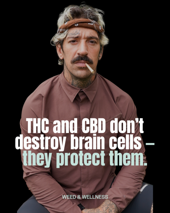 THC and CBD don’t destroy brain cells — they protect them.