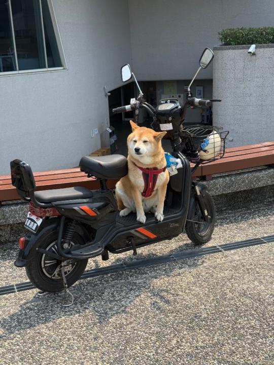 黃 國維