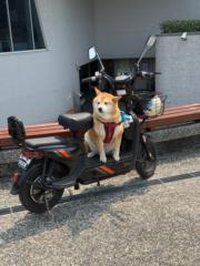 黃 國維