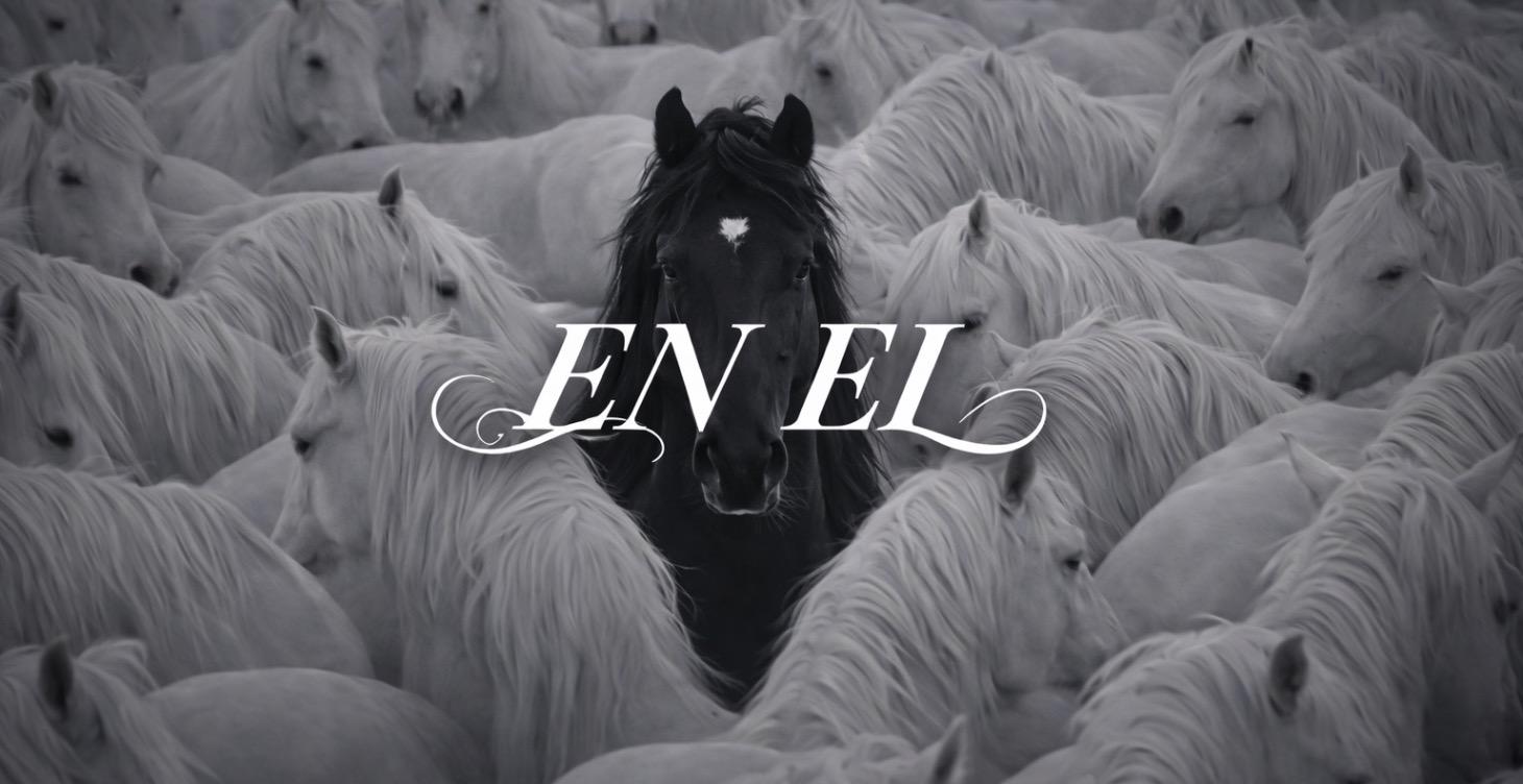 𝐋𝐄𝐀𝐋𝐓𝐀𝐃 𝐀𝐋 𝐎𝐑𝐈𝐆𝐄𝐍