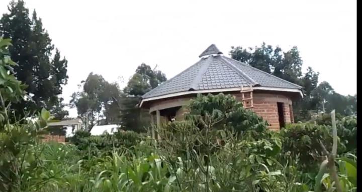 Nakku Harvest Haven Ltd  🇺🇬