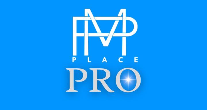 Project Manager's Place (PRO)