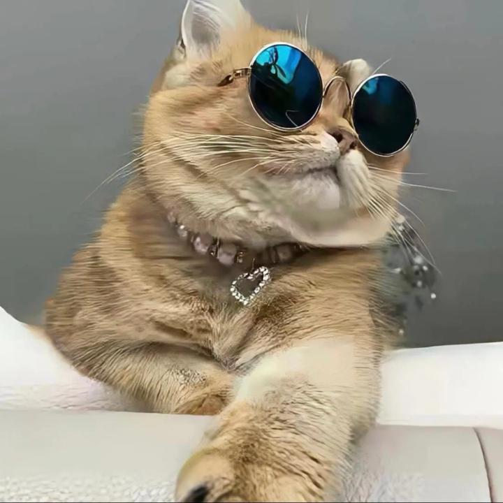 Wei zhe Wei zhe