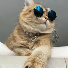 Wei zhe Wei zhe