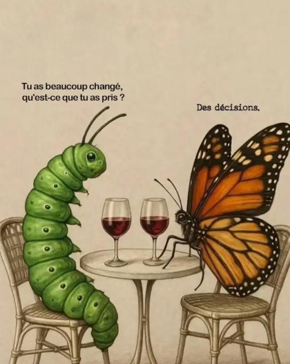 🐛🦋