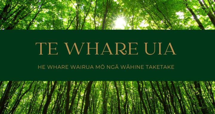 Te Whare Uia