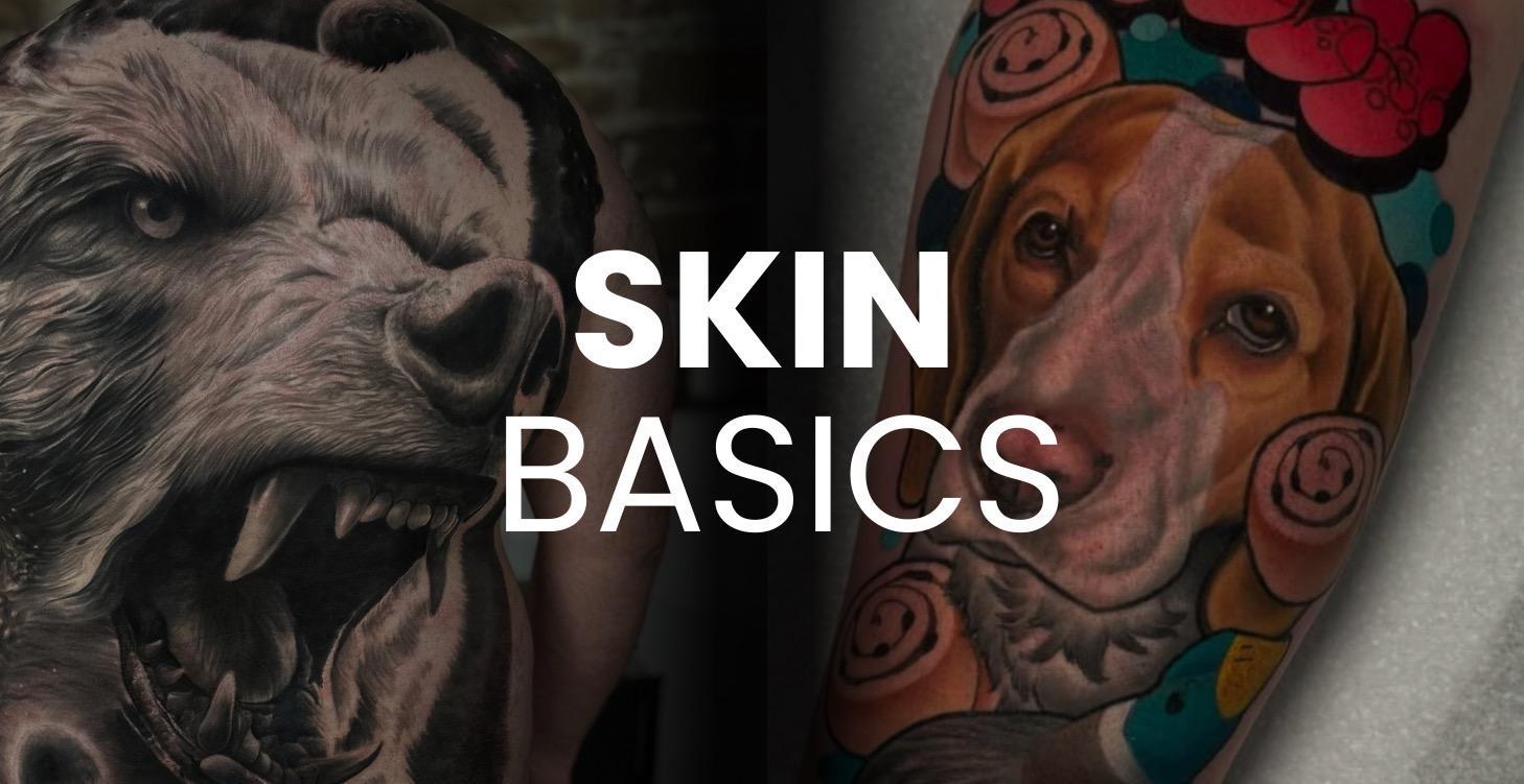 Skin Basics
