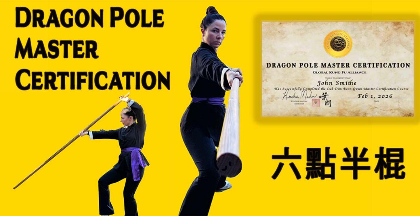 Dragon Pole Master Certification Course