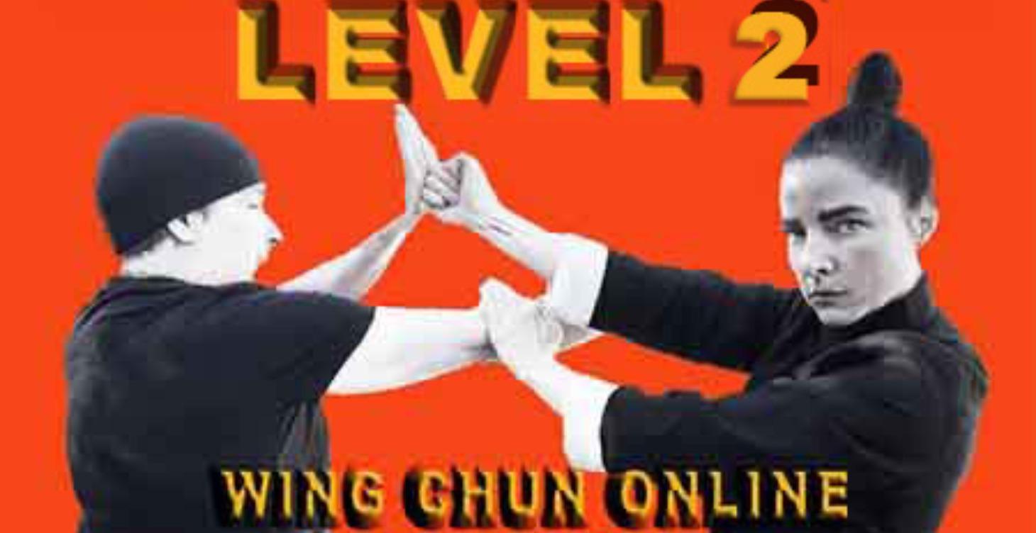 Level 2 Wing Chun Online Certification Course