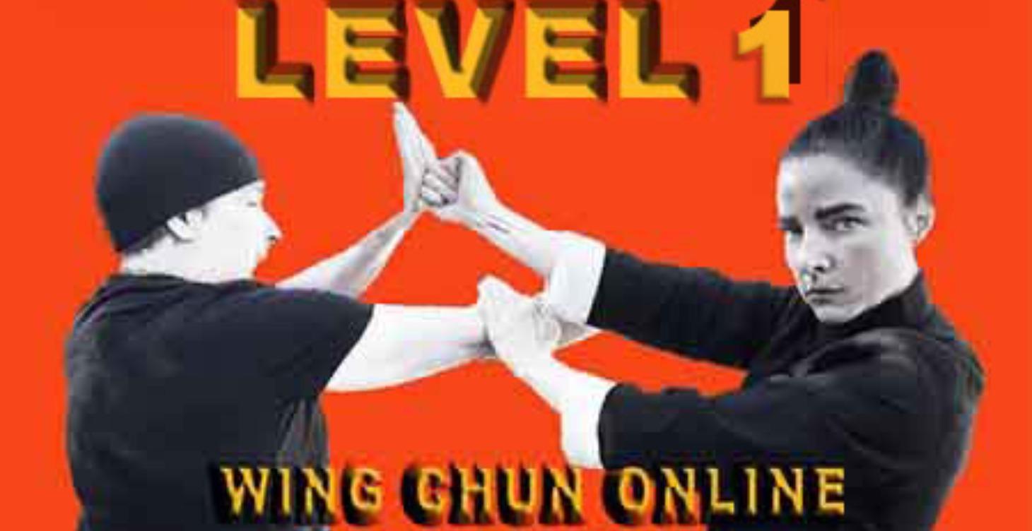 Level 1 Wing Chun Online Certification Course