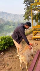 Nishant T