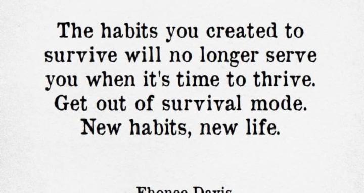 From Surviving to Thriving