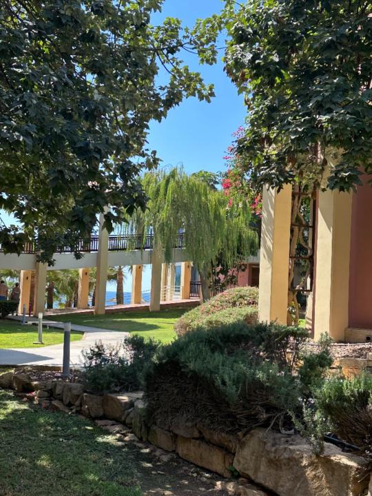 Corinna Isabel Wartner