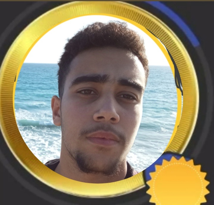 יהודה גור אריה