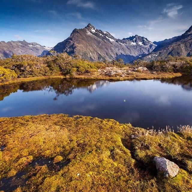 Hope Wafula nyongesa