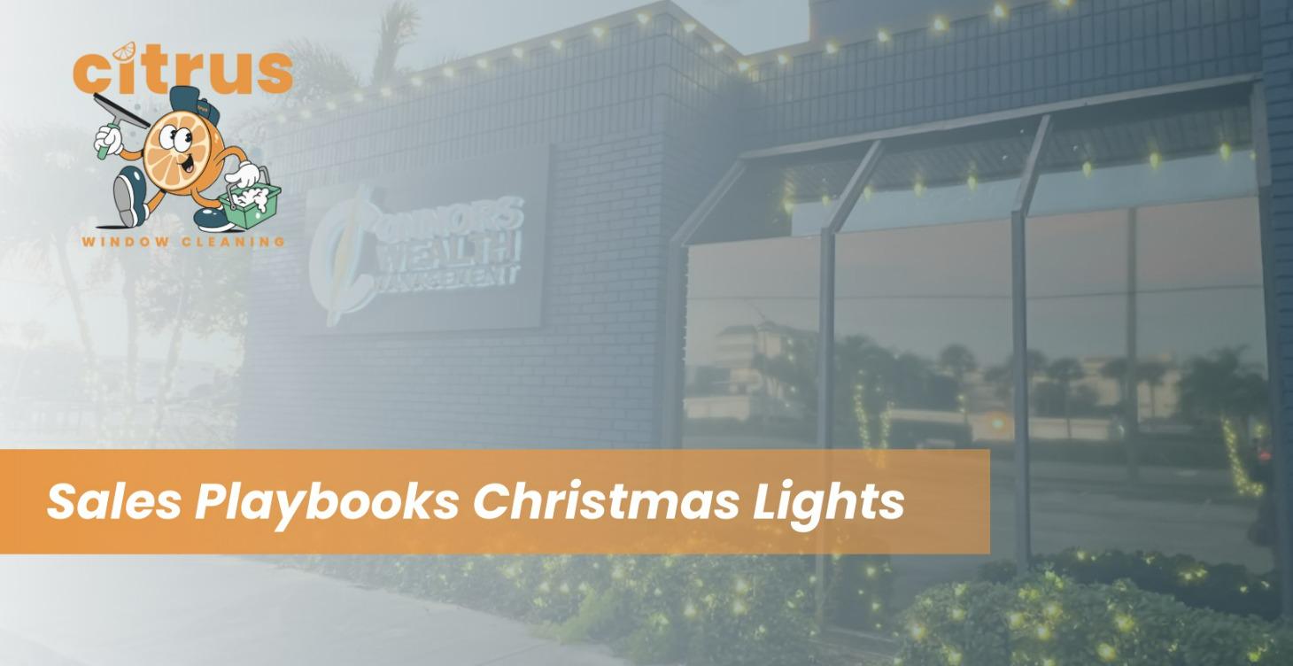 Sales Christmas Lights(Stage 2-4)