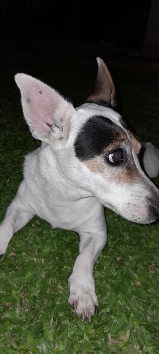 Lucas martin jose Ceballos