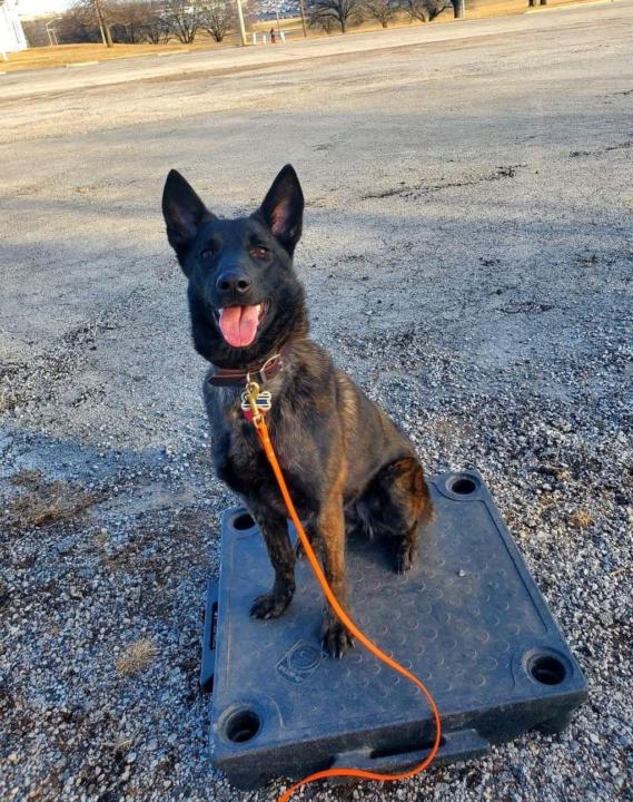 Welcome to our group!!