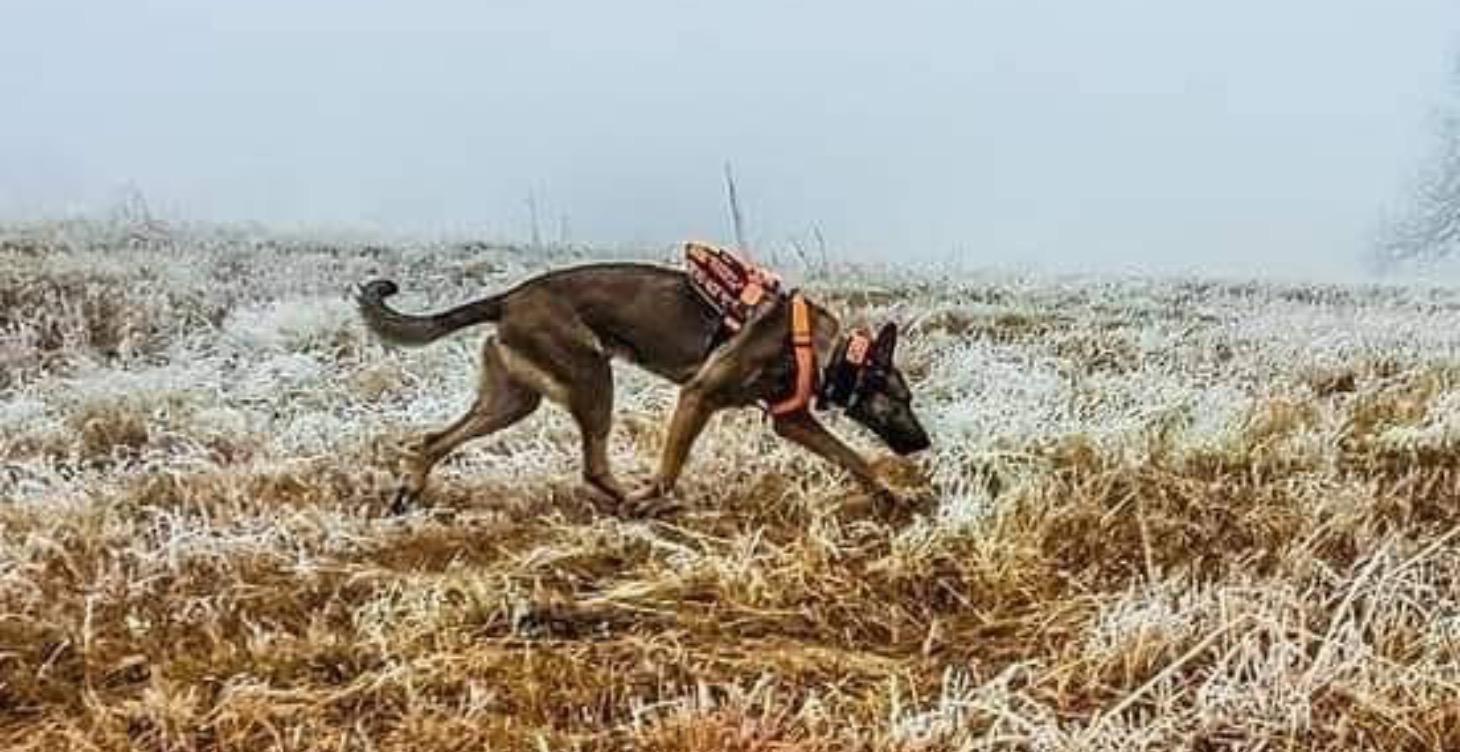 Module 1: Introduction to Hunt Drive