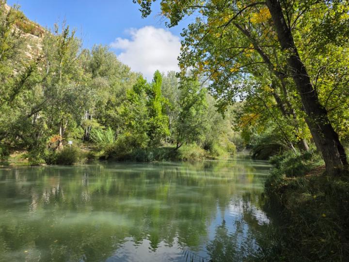 Juan Sánchez Romero