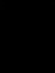 بندر السبيعي