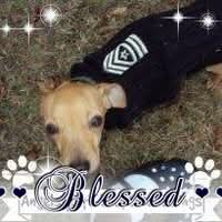 Chantay Reese