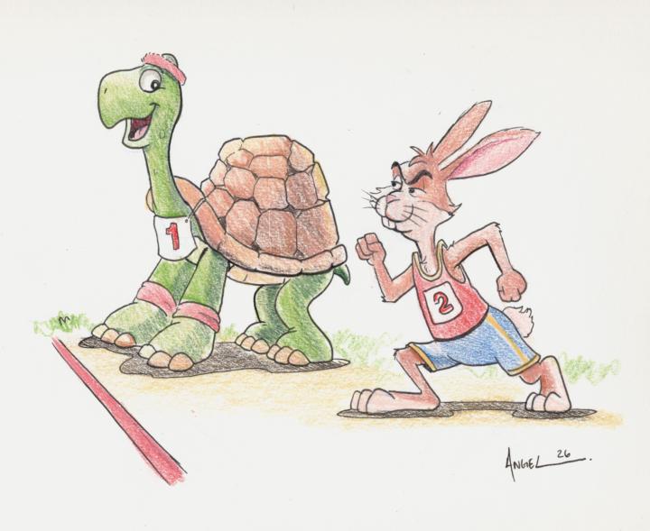 Tortoise and the Hare drawing from Monday Night