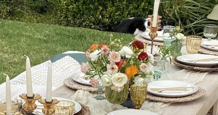 Picnic & Tablescape Studio