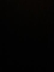 Charlotte de Beaulieu