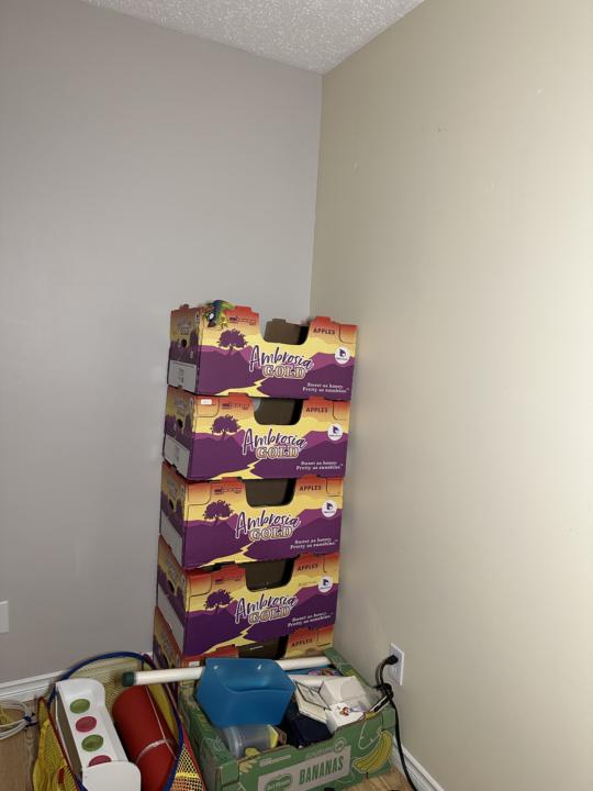 Day 8: Feeling Behind and Ahead All at Once