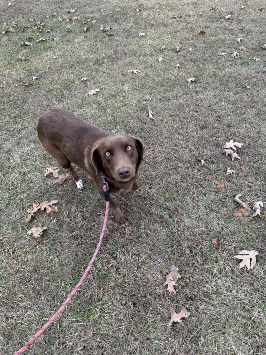 Yvonne’s Crazy Adventure December 4, 2025