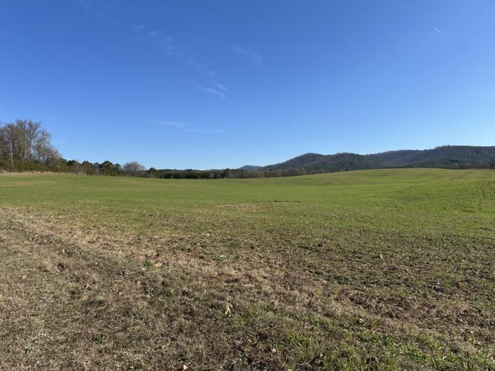 Yvonne’s Crazy Adventure December 13, 2025