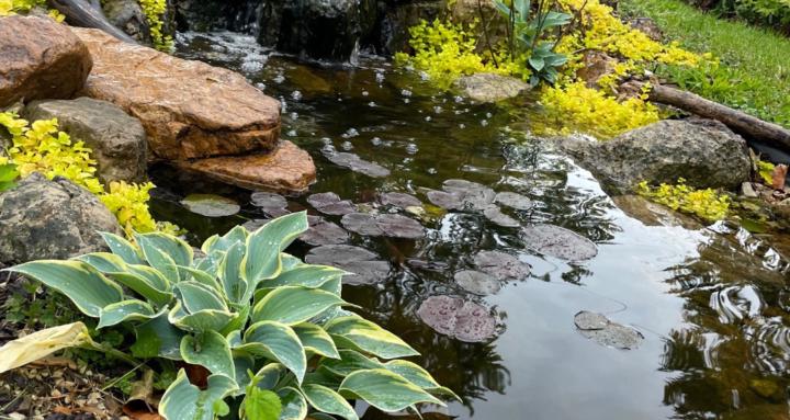 Scenic’s Pondside Living Club