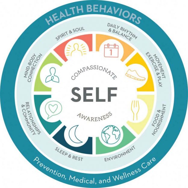 The Principles of Holistic Medicine: A Path to Wellness 🌿