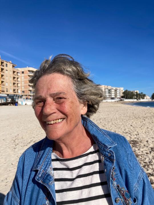 Vibeke Hyltén-cavallius