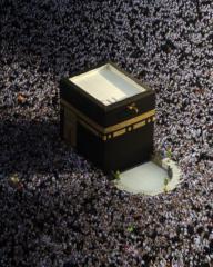 Shabaz Hussain
